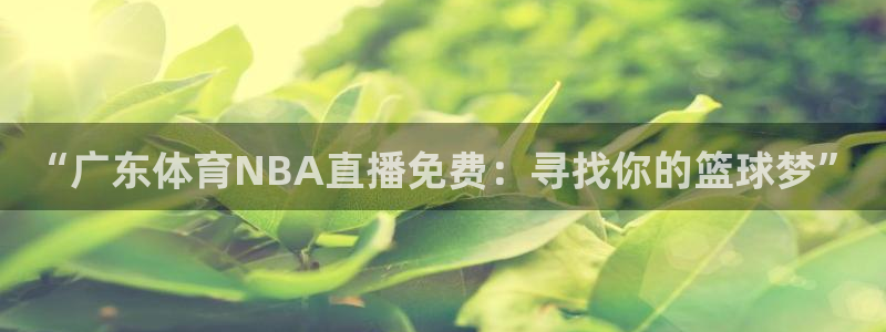 “广东体育NBA直播免费：寻找你的篮球梦”