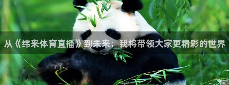 从《纬来体育直播》到未来：我将带领大家更精彩的世界