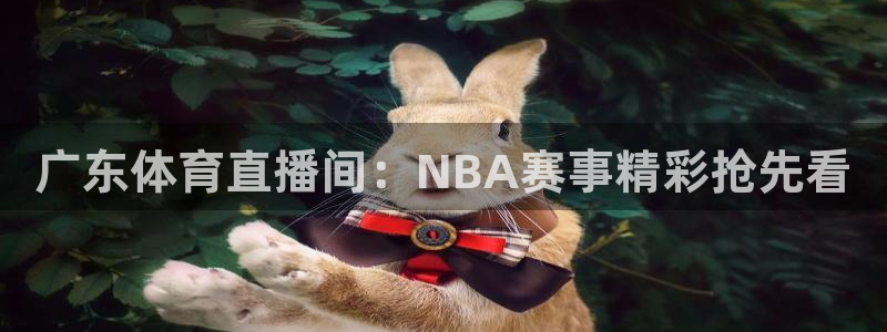 广东体育直播间：NBA赛事精彩抢先看