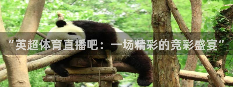 “英超体育直播吧：一场精彩的竞彩盛宴”