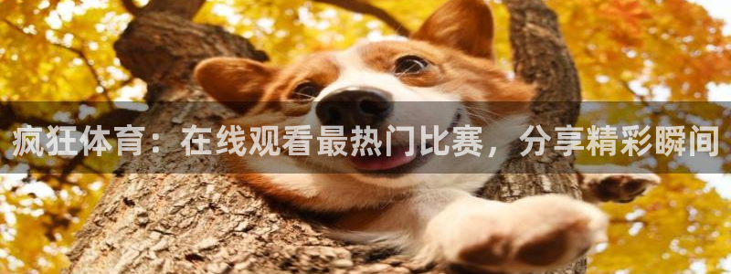 疯狂体育：在线观看最热门比赛，分享精彩瞬间