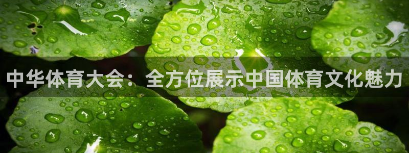 中华体育大会：全方位展示中国体育文化魅力
