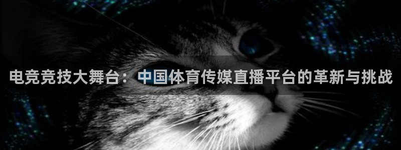 电竞竞技大舞台：中国体育传媒直播平台的革新与挑战