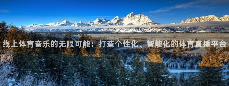 线上体育音乐的无限可能：打造个性化、智能化的体育直播平台